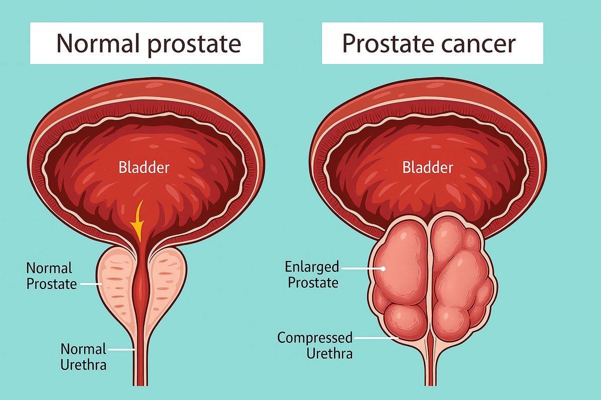 C1D72D63-A397-4F27-8AA3-6C867376B09C